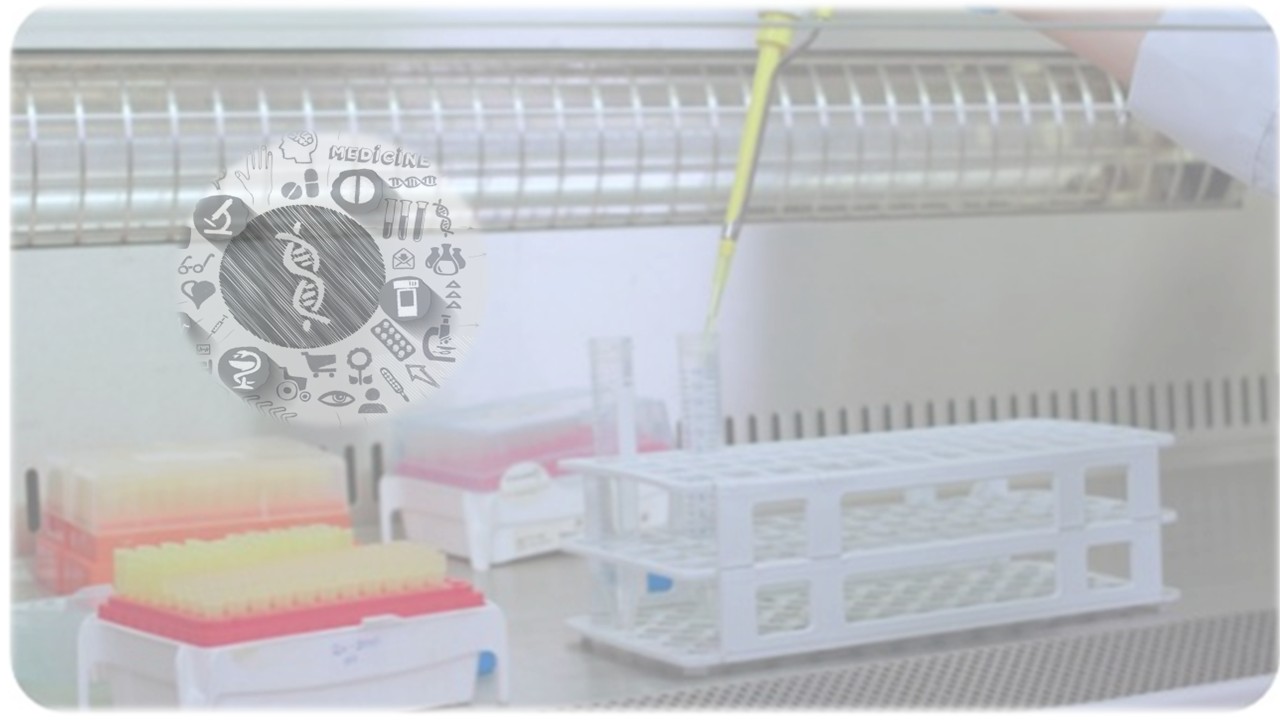 Εικόνα επιλογής